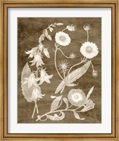 Framed Botanical in Taupe III