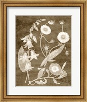 Framed Botanical in Taupe III