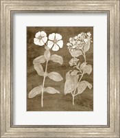 Framed Botanical in Taupe IV