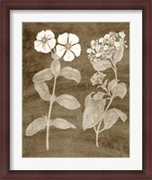 Framed Botanical in Taupe IV