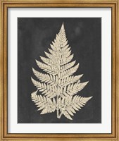 Framed Linen Fern I