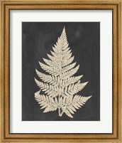 Framed Linen Fern I