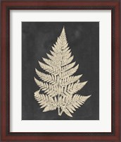 Framed 'Linen Fern I' border=