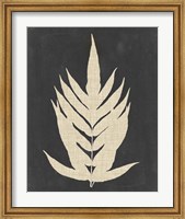 Framed Linen Fern II