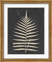 Framed Linen Fern III