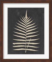 Framed 'Linen Fern III' border=