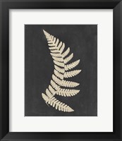 Framed Linen Fern IV