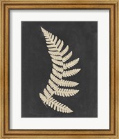 Framed Linen Fern IV