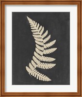 Framed 'Linen Fern IV' border=