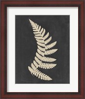 Framed Linen Fern IV