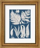 Framed Linen & Blue Ferns I