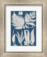 Framed Linen & Blue Ferns I