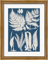 Framed Linen & Blue Ferns I