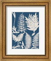 Framed Linen & Blue Ferns II