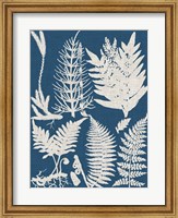 Framed Linen & Blue Ferns II