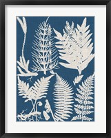 Linen & Blue Ferns II Framed Print