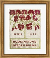 Framed 'Flower Seed Packs II' border=