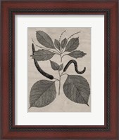 Framed Eloquent Leaves II