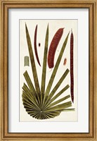 Framed Leaf Varieties VI