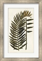 Framed Leaf Varieties VIII