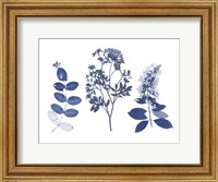 Framed Indigo Pressed Florals I