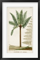 Framed Exotic Palms III