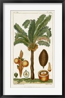 Framed Exotic Palms VII