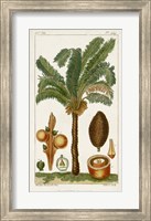 Framed Exotic Palms VII