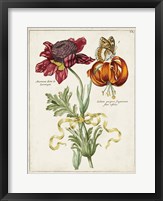 Framed Botanical Bouquet II