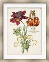 Framed Botanical Bouquet II