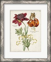 Framed Botanical Bouquet II