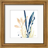 Framed 'Botany Gesture IX' border=