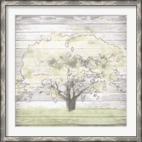 Framed Barn Tree I