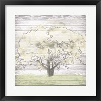Barn Tree I Framed Print