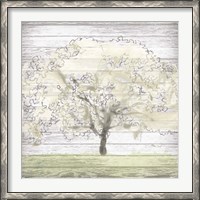 Framed Barn Tree II