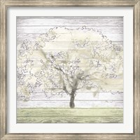 Framed Barn Tree II