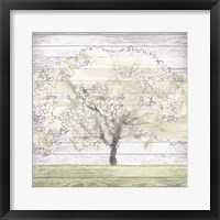 Barn Tree II Framed Print