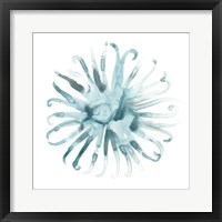 Ocean Cameo II Framed Print