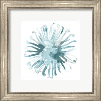 Framed 'Ocean Cameo IV' border=