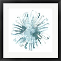 Ocean Cameo IV Framed Print