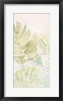 Tropical Sorbet II Framed Print