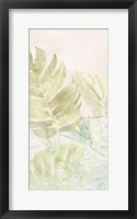 Framed Tropical Sorbet II