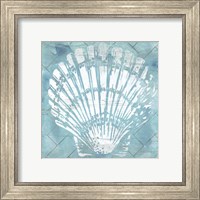 Framed 'Cerulean Shell I' border=