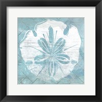 Framed 'Cerulean Shell IV' border=