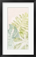 Tropical Sorbet I Framed Print