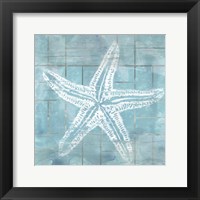 Cerulean Shell II Framed Print