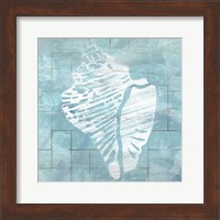 Framed 'Cerulean Shell III' border=