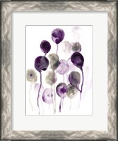 Framed Plum Pods I