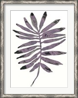 Framed Foliage Fossil I