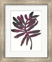 Framed Foliage Fossil III